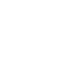 Visa Inc